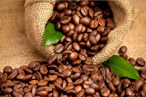 Togo : Le pays abritera la prochaine assemblée annuelle de l'organisation Interafricaine du café