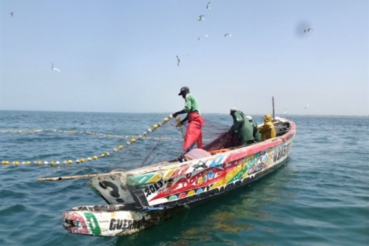 Togo : Les activités de pêches suspendues Investissements