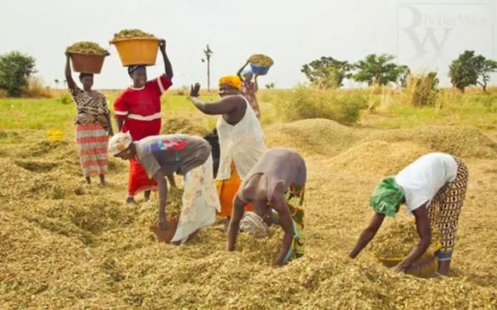 Le Forum des producteurs agricoles s'achève à Kara