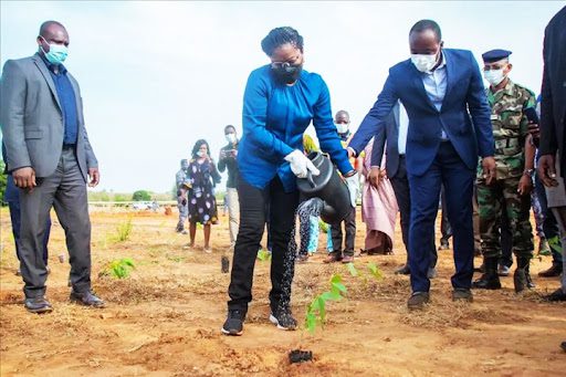 Togo : Lancement d'une campagne de reboisement pour renforcer la protection de l'environnement