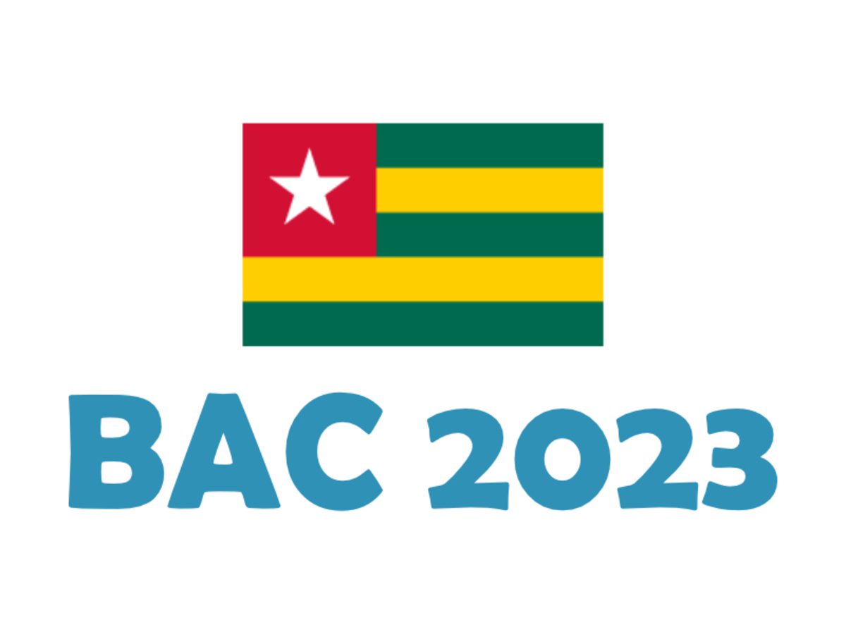 Résultats du BAC 2023 au Togo : Comment les consulter ?
