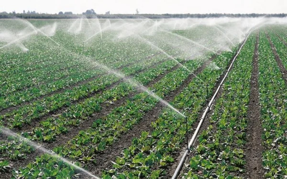 Agriculture : Des producteurs se forment en technique d'irrigation dans la commune de Yoto 1