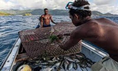 Togo : reprise des activités de pêche
