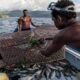 Togo : reprise des activités de pêche