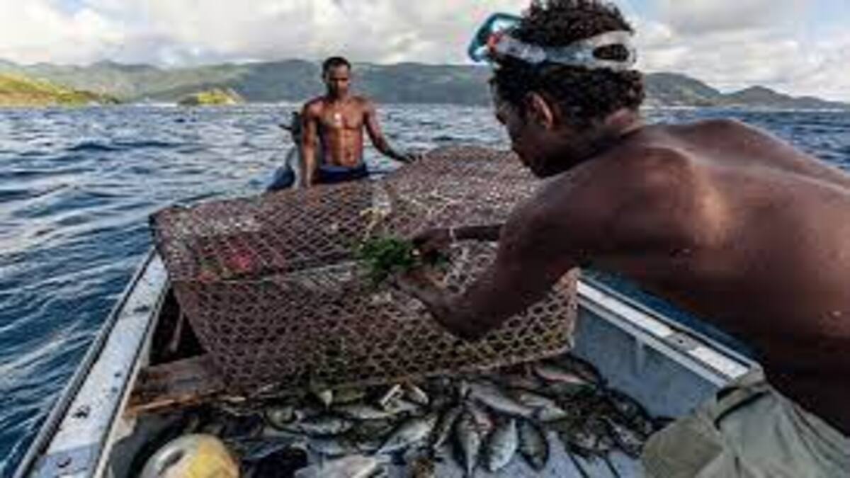 Togo : reprise des activités de pêche