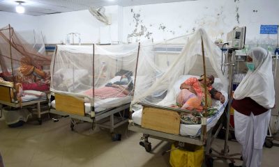 Tchad : Une épidémie de dengue sévit dans le pays