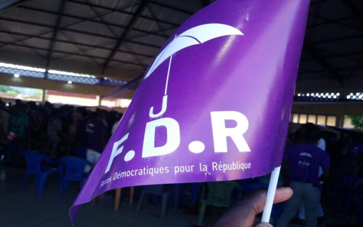 Politique : Les Forces Démocratiques pour la République (FDR) en congrès à Lomé