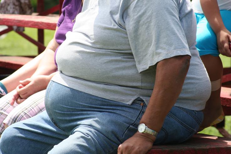 Prévenir l'Obésité : Les 3 Conseils Essentiels de l'OMS
