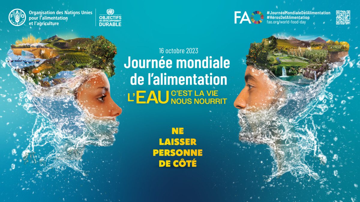 Journée mondiale de l’alimentation : L'eau au cœur des débats à Lomé