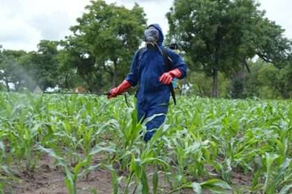 Agriculture : le Togo veut améliorer son conseil agricole