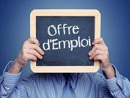 Une Entreprise recherche un Formateur