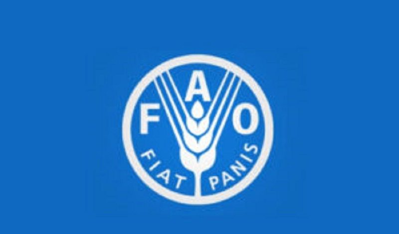 L’Organisation des Nations Unies pour l’Alimentation et l’Agriculture (FAO) recrute