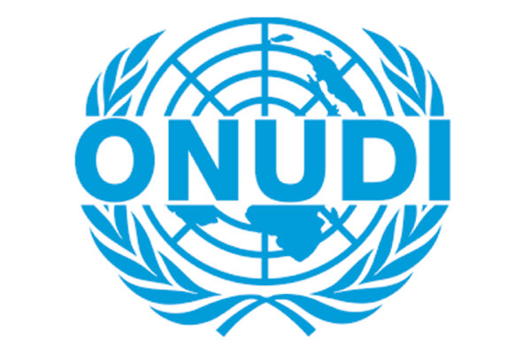 L’Organisation des Nations Unies pour le Développement Industriel (ONUDI) recrute pour ce poste