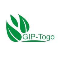 GIP-TOGO recrute un(e) community manager 