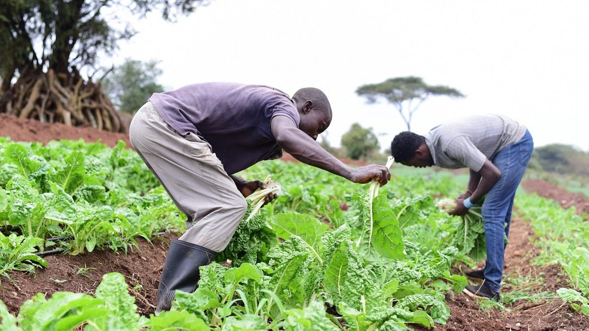 Agriculture : La PRESAGG alerte ces pays contre des déficits pluviométriques