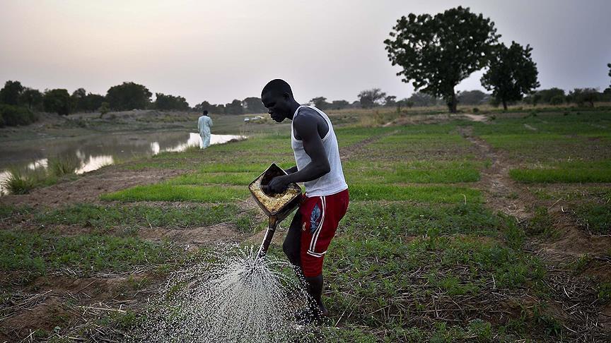 Prévisions saisonnières : Les agriculteurs du Sud du Togo