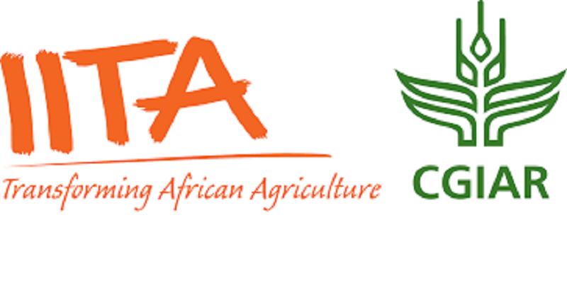 L’Institut International d’Agriculture Tropicale (IITA) recrute pour ce poste