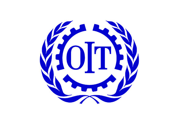L’Organisation Internationale du Travail (OIT) recrute pour ces 02 postes