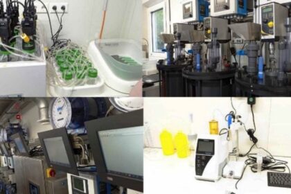 L'Université de Lomé se dote d'un laboratoire de pointe dédié à la bioénergie