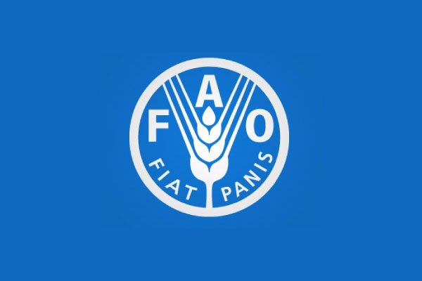 L’Organisation des Nations Unies pour l’alimentation et l’agriculture (FAO) recrute pour ce poste