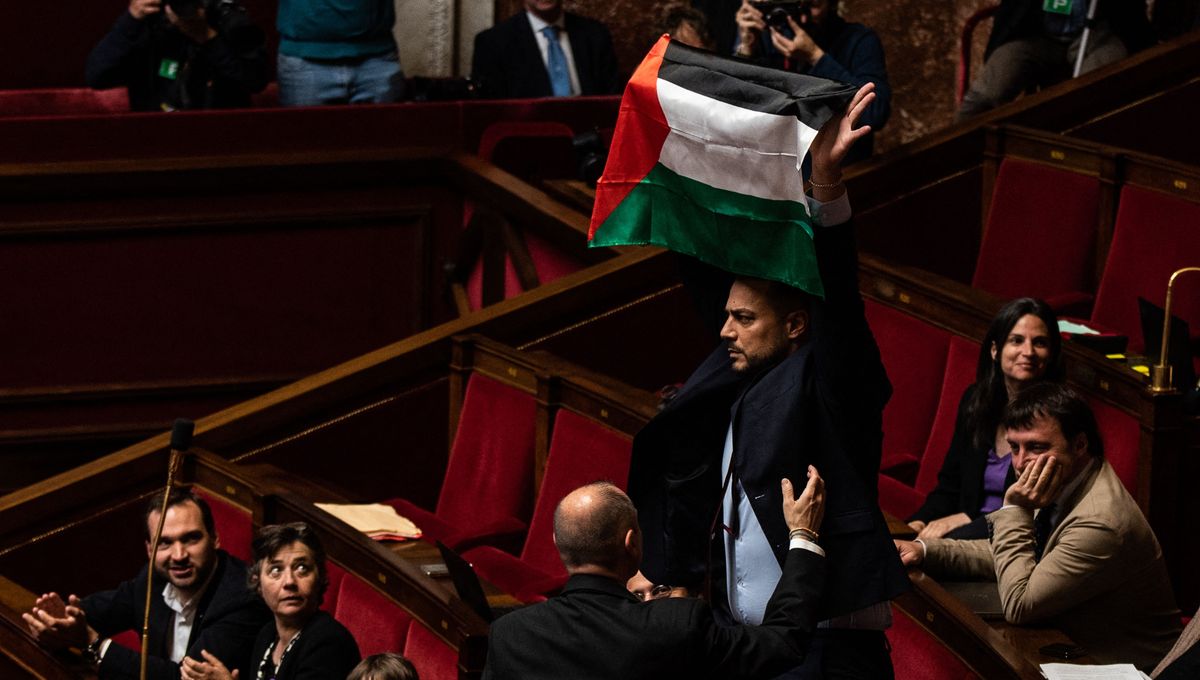 France : Un député, sanctionné pour avoir brandi un drapeau palestinien