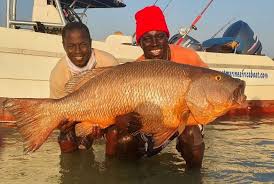 L’UE prévoit d’injecter 108 millions $ dans la pêche de ce pays africain