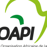 Appel à candidatures : 15e édition du Programme de Master en propriété intellectuelle de l’OAPI