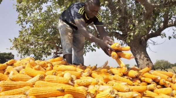 Togo : La BOAD injecte 30 milliards de francs CFA dans le secteur agroalimentaire