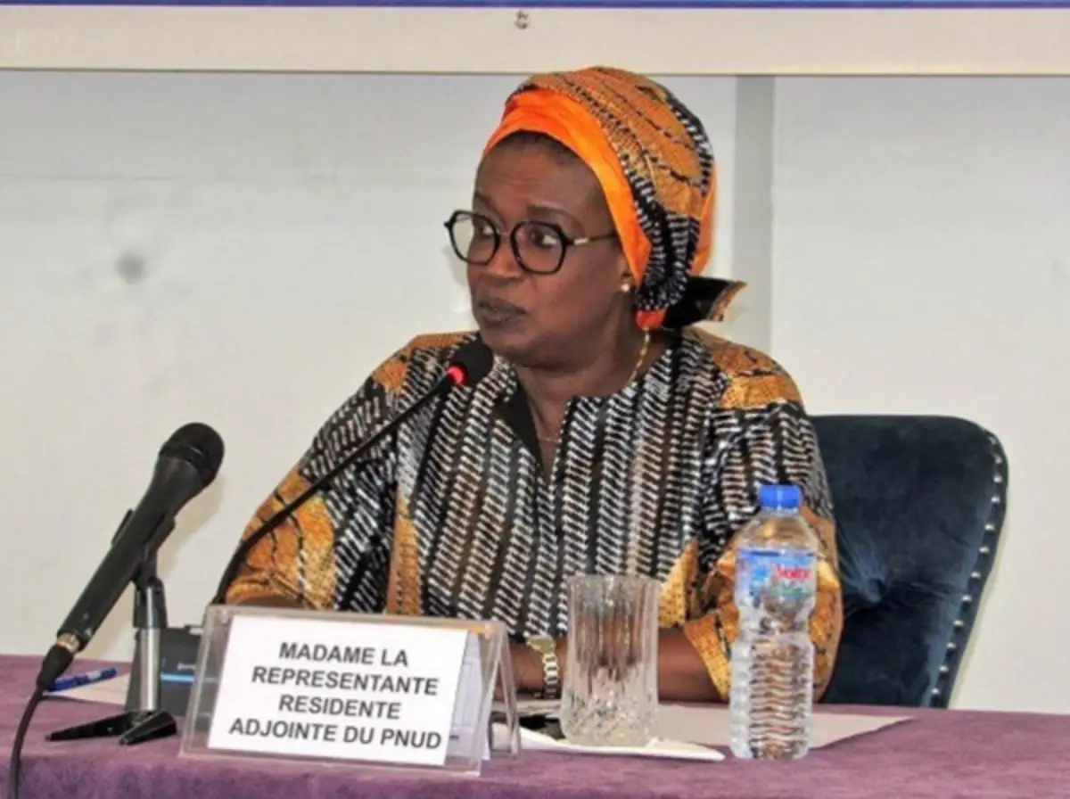 Le PNUD octroie plus de 122 millions Fcfa au Togo : Voici à quoi l'aide va servir