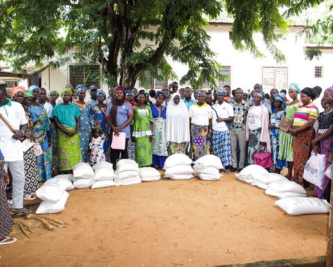 Togo : Des milliers d'agriculteurs vont recevoir des kits gratuitement