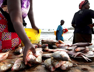 Pêche et aquaculture : Le Togo dévoile sa stratégie de développement durable