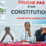 Togo : 3 partis politiques exclus du Front « Touche Pas À Ma Constitution »