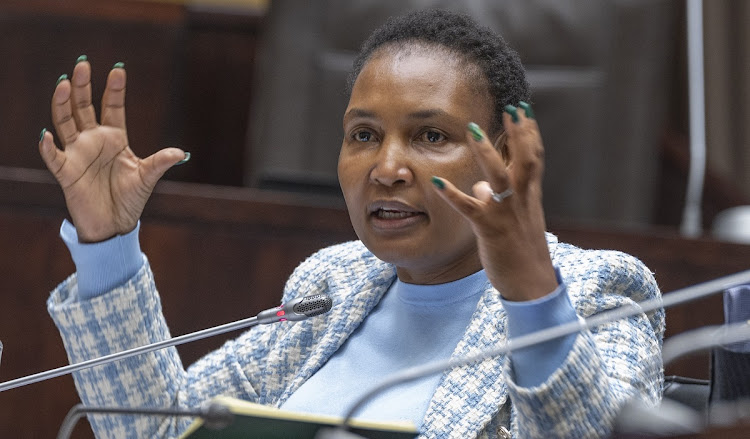 Corruption en Afrique du Sud : La ministre Thembi Simelane face au parlement