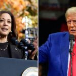 Trump Vs Harris : Ce que disent les sondages à dix jours du scrutin présidentiel