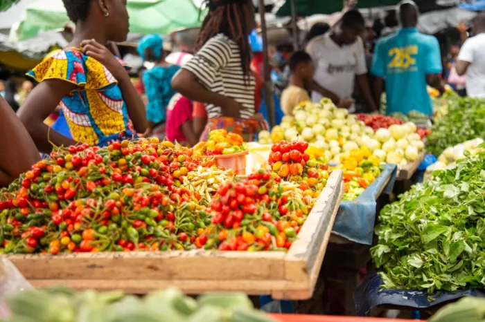 Côte d'Ivoire : Le gouvernement annonce des mesures drastiques contre le trafic de produits agricoles