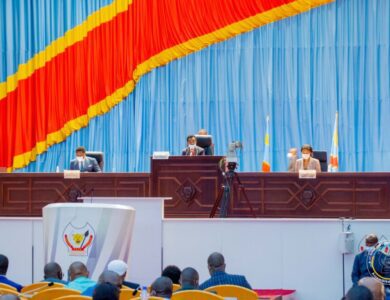 Révision constitutionnelle en RDC : Une pétition déposée à l'Assemblée nationale